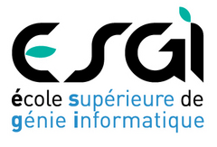 ESGI Ecole Superieure De Génie Informatique