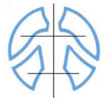 Logo de l'établissement : IFEC - Paris Institut Franco-Européen de Chiropratique